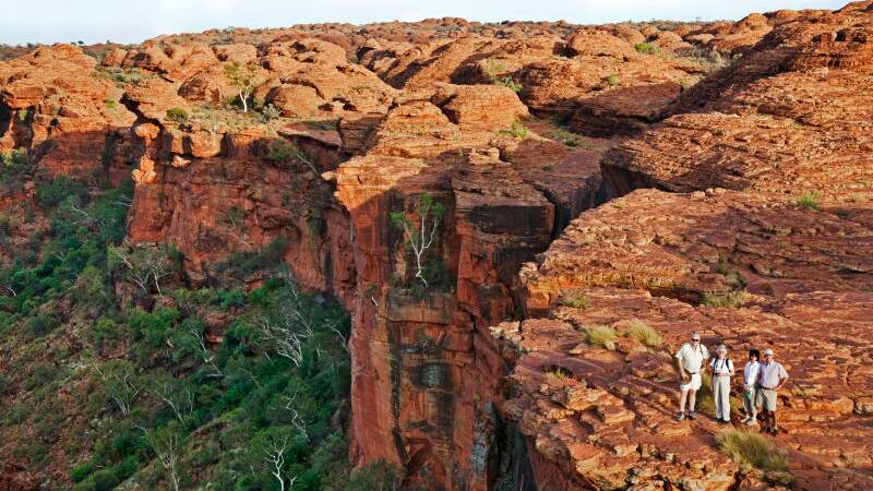 Hello from Kings Canyon - the landscapes of the NT are deeply humbling. 