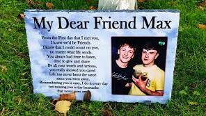 Best friends Max (left) and Aidan pictured on a memorial plaque at Mr Boggs' grave site in Northern Ireland. Picture supplied