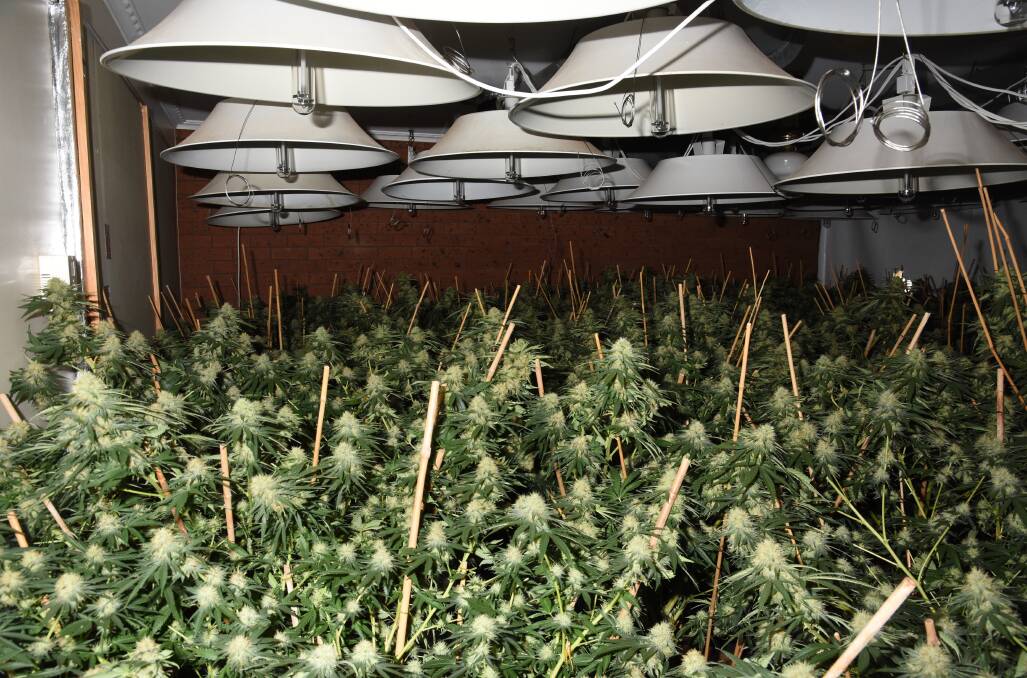 The Warrnambool cannabis growhouse located last year.