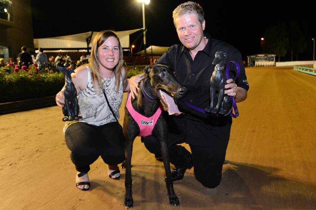 Lara trainers Brooke and Jamie Ennis with outstanding chaser My Bro Fabio after winning the 2015 group one Temlee at The Meadows. The couple head into Wednesday night's cup heats with three keys contenders.