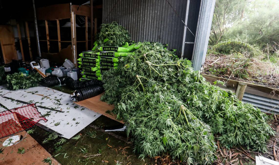 Busted: A 360 plant crop house at Grassmere was raided last week in the latest Operation Highrise executed warrant.