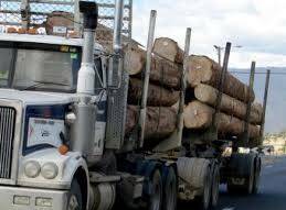 Another log truck has rolled, this time blocking the Great Ocean Road.