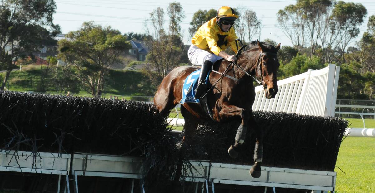 Setting sail for home: No Song No Supper (Richard Cully) crashes through a jump during the Grand Annual. Picture: John Donegan/Racing Photos