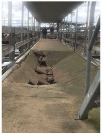 Gone: The section of a concrete walkway that collapsed during a Warrnambool sale on Wednesday last week.