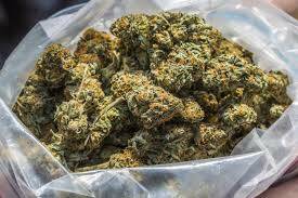 Woman caught with 1.257kgs of cannabis bailed with $3000 surety