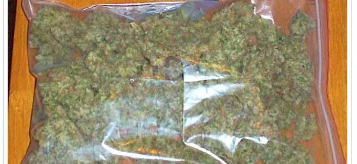 A bag of dried cannabis was found in the glove box of a vehicle which was intercepted this morning by Portland police. 