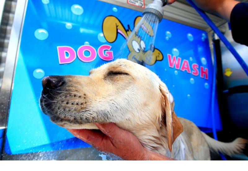 Offenders have failed to make a clean getaway after a break-in at a Warrnambool dog wash.