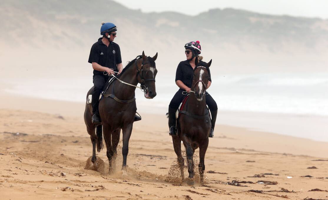 SANDSTORM: Melbourne Cup winner Prince of Penzance (right) at Levys Point beach in 2015. Warrnambool City Council has received legal advice that commercial horse training in the area is illegal.  