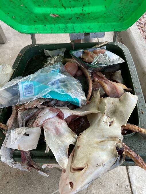 Council reviewing bins after stench overwhelms fish cleaning area