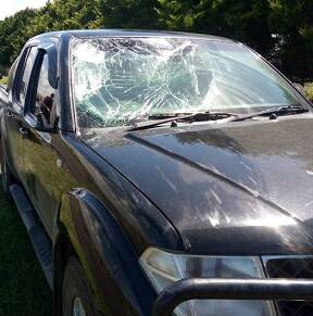 Smashed: The damaged black Nissan ute.