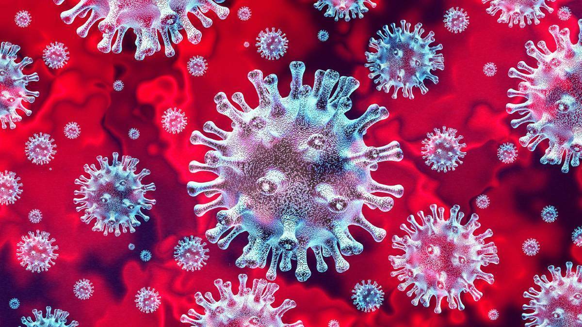 Virus fragments unexpectedly detected in western region