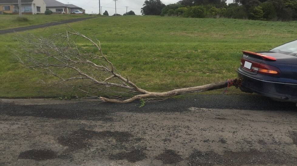 Driver fined $661 after towing branch down road