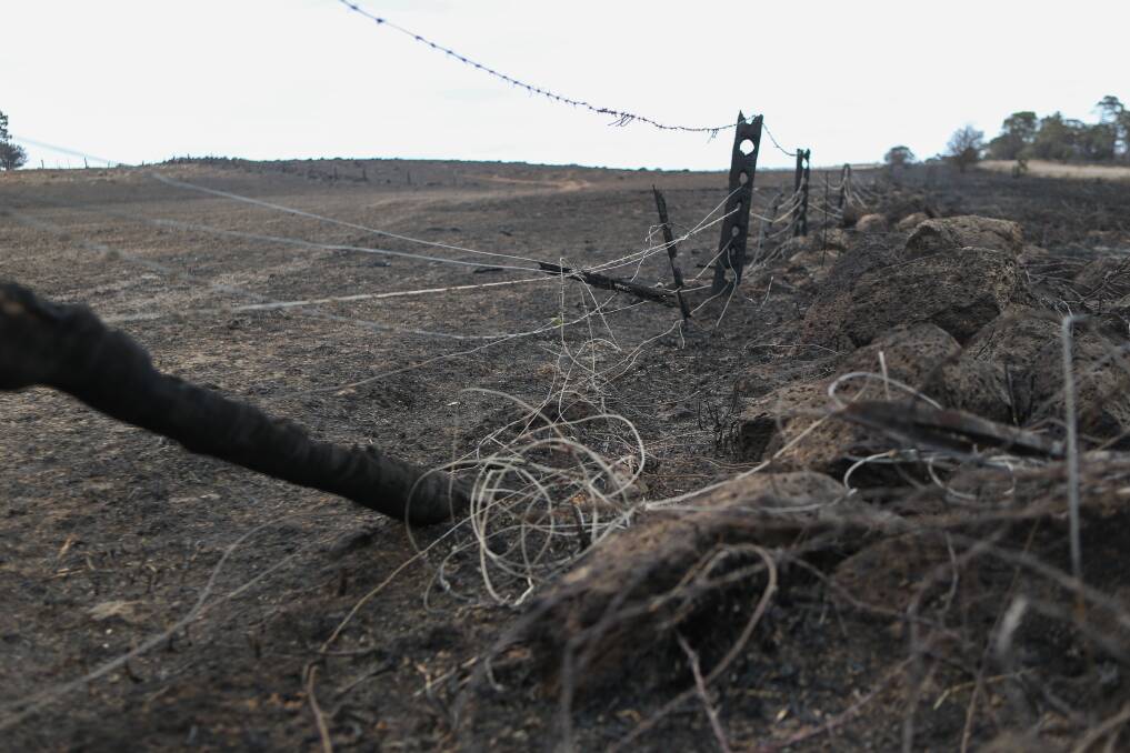 Time for change: The aftermath of the St Patrick's Day bushfires.