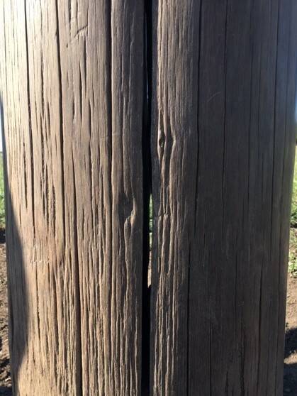 The crack and cavity in pole No. 2 was revealed on Monday. The pole will now be replaced.