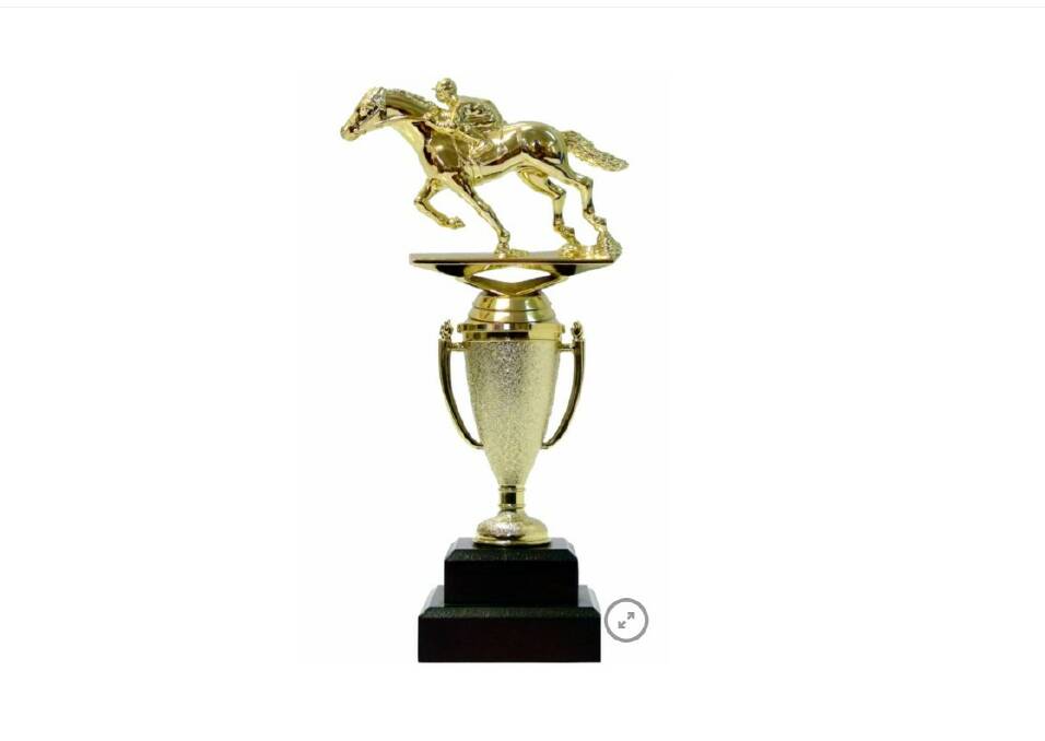 Gone: A racing trophy has disappeared from a Warrnambool hotel about midnight on Wednesday. This is a file image.