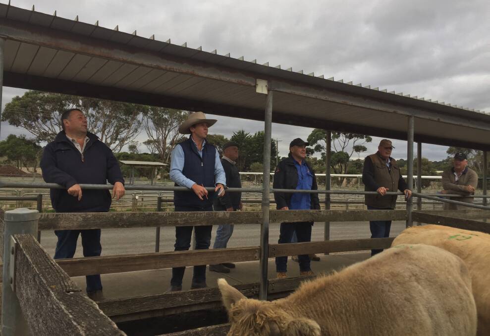 Changing times: Social distancing at Warrnambool's Wednesday cattle sale. New protocols proved a success and it's expected the sales will continue. Friday's store sale was called off.