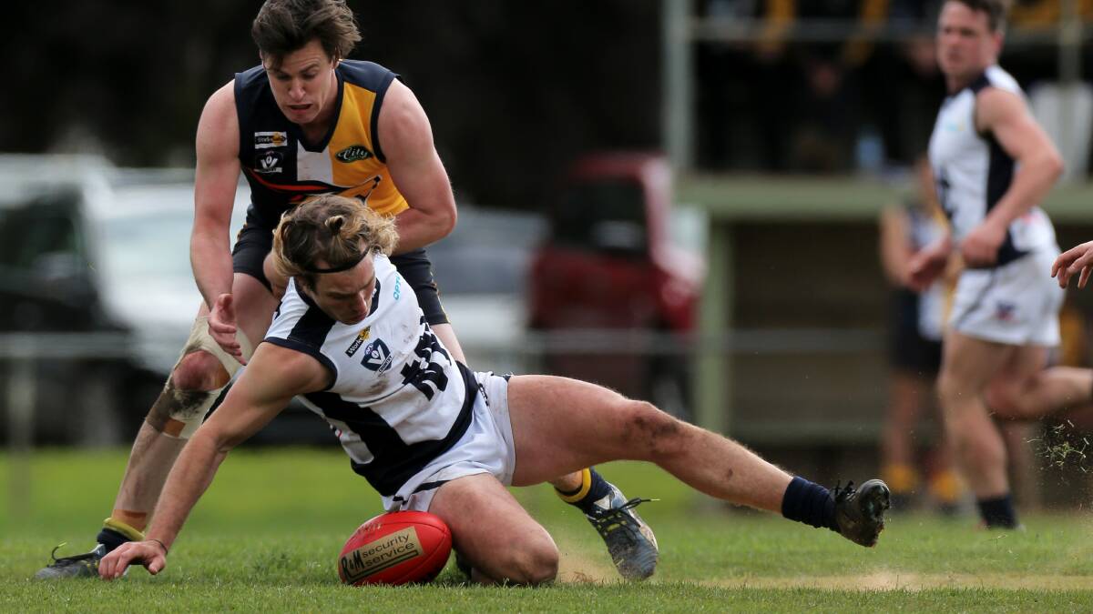 Blues and Eagles prepare for finals rematch | HFNL video