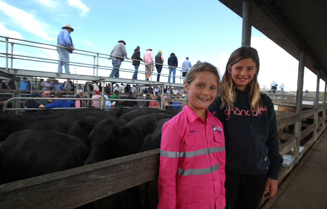 SOLD: Port Fairy sisters Zara, 8, and Bree Fox, 11, said goodbye to their family's 16 black Angus steers at the Warrnambool Saleyards store cattle sale on Friday. Picture: Amy Paton