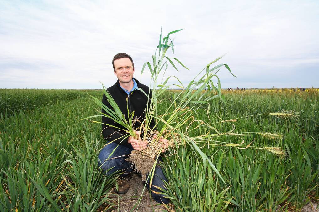 For the soil: James Hunt, La Trobe University, says glyphosate has been important in the development of the no-till farming systems which have slowed soil erosion in cropping regions over the past 30 years.