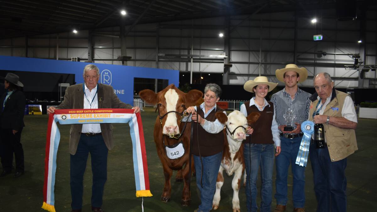 Beef interbreed competition