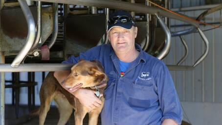 HIGHER PRICES: Larpent dairy farmer Mark Billing says the high farmgate milk prices are well deserved.