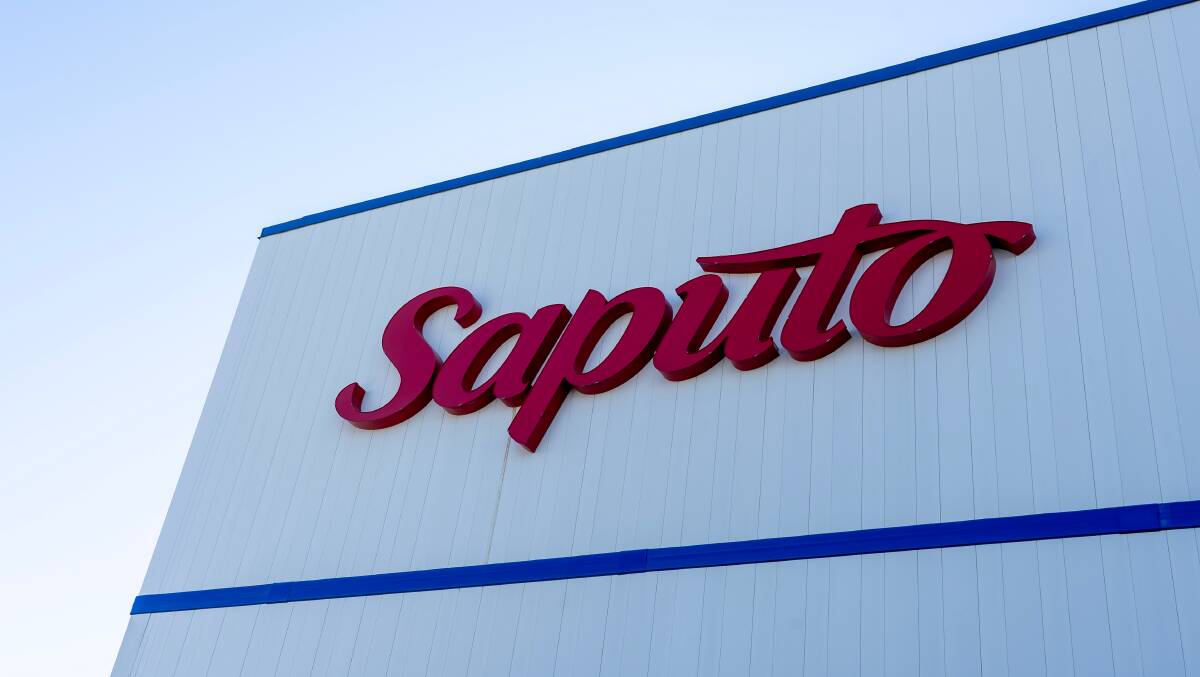 SAPUTO STEP-UP: Saputo is among the latest processors to increase its weighted average farmgate milk price for the 2023/24 season in the southern milk region.