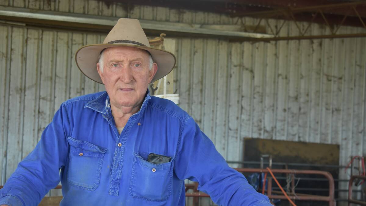 Badaginnie prime lamb producer Peter Holmes said he marked 3500 lambs, this year, more than ever before. Picture by Andrew Miller.