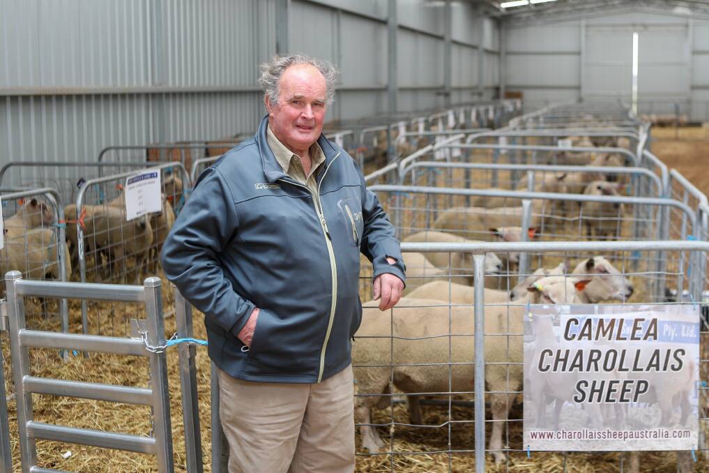 TOP BIDDER: Noel Taylor, Campbell's Creek, bought the top-priced ram at Camlea, shelling out $3000 for what stud principal Kevin Feakins said was "a really good structured animal, with a big frame." 