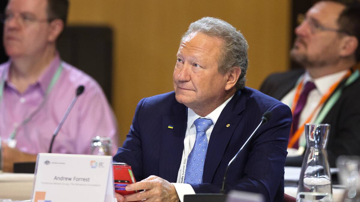 Andrew Forrest's Minderoo Foundation partly funded the review. Picture by Sitthixay Ditthavong