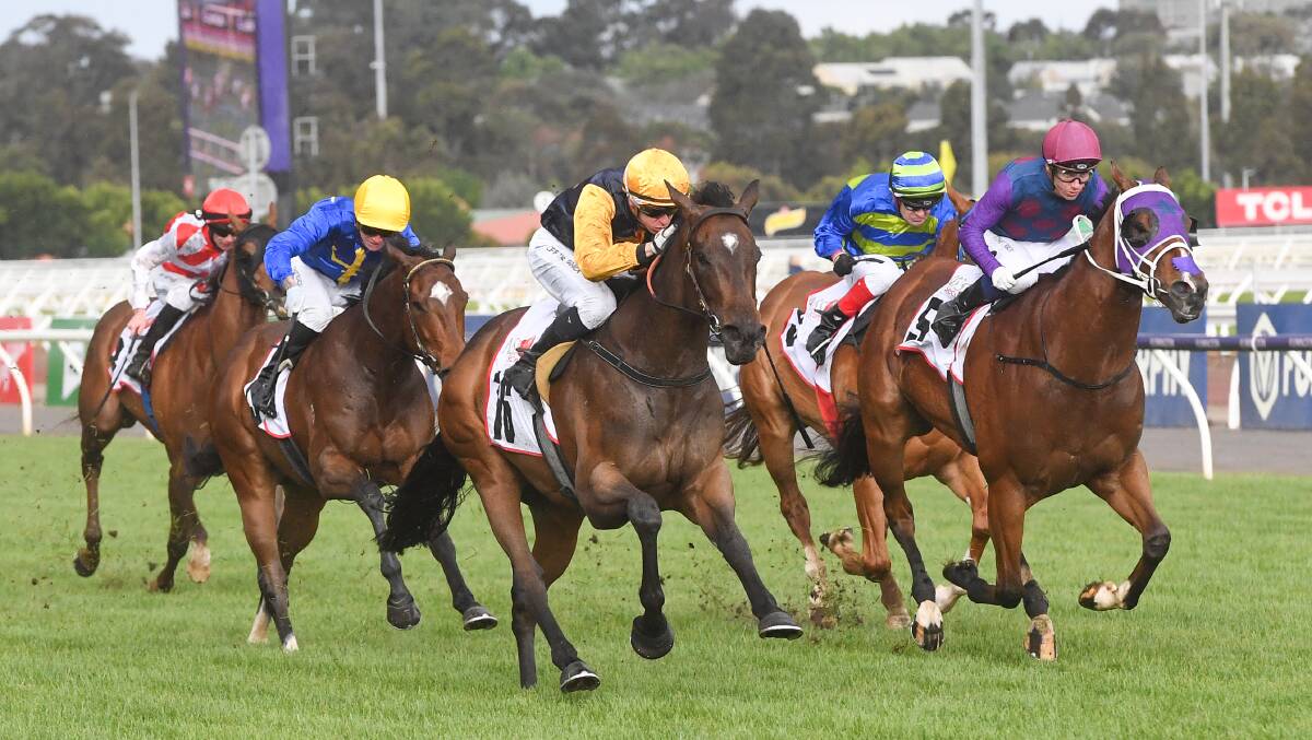 Vespertine, yellow cap, wins on Derby Day at Flemington last November. Picture Getty Images