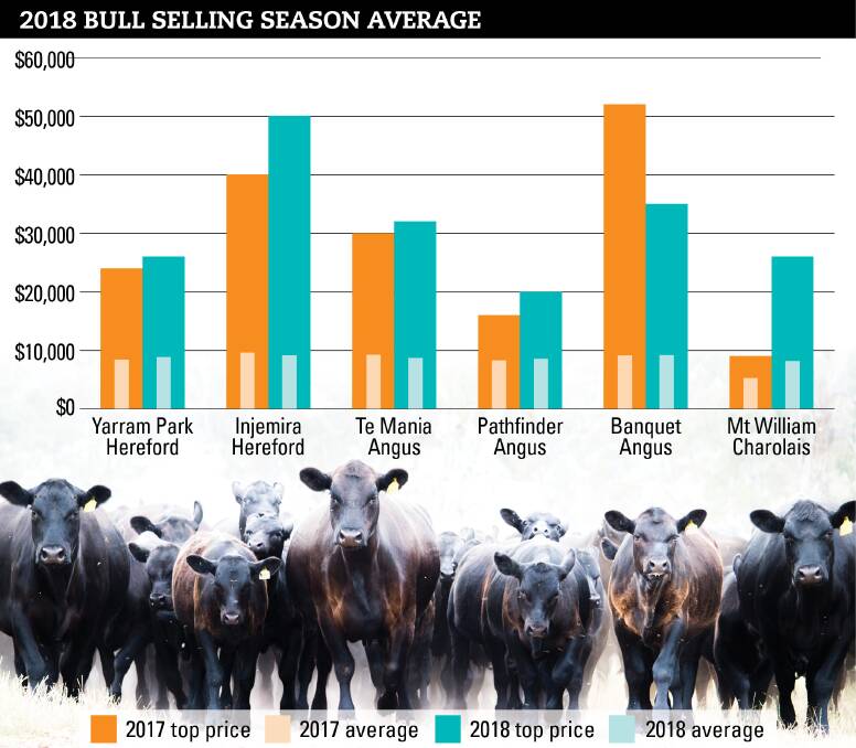 BULE SALE SEASON: With the autumn 2018 bull selling season almost over, reports in Stock & Land show an increase in the number of bulls sold for the season, while clearance rates dipped slightly.