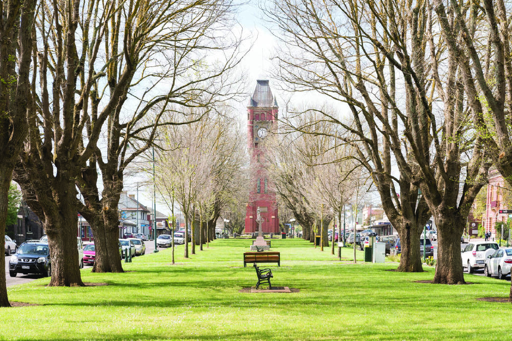 STRIKING: The main street through the heart of Camperdown - Manifold Street/Princes Highway - features a beautiful avenue of elm trees and the clock tower.