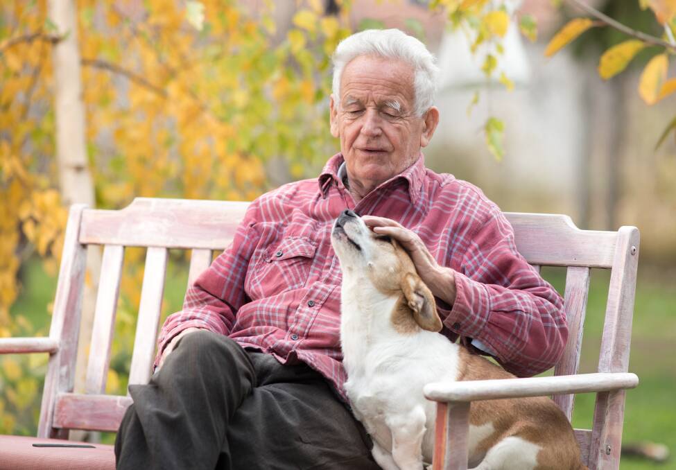 Research shows pets and aged care are a good mix