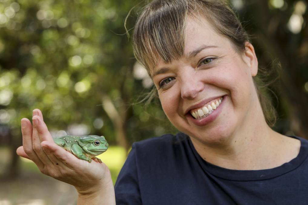 FROG FABLES: Dr Jodi Rowley with a magnificent tree frog. Picture: Salty Dingo