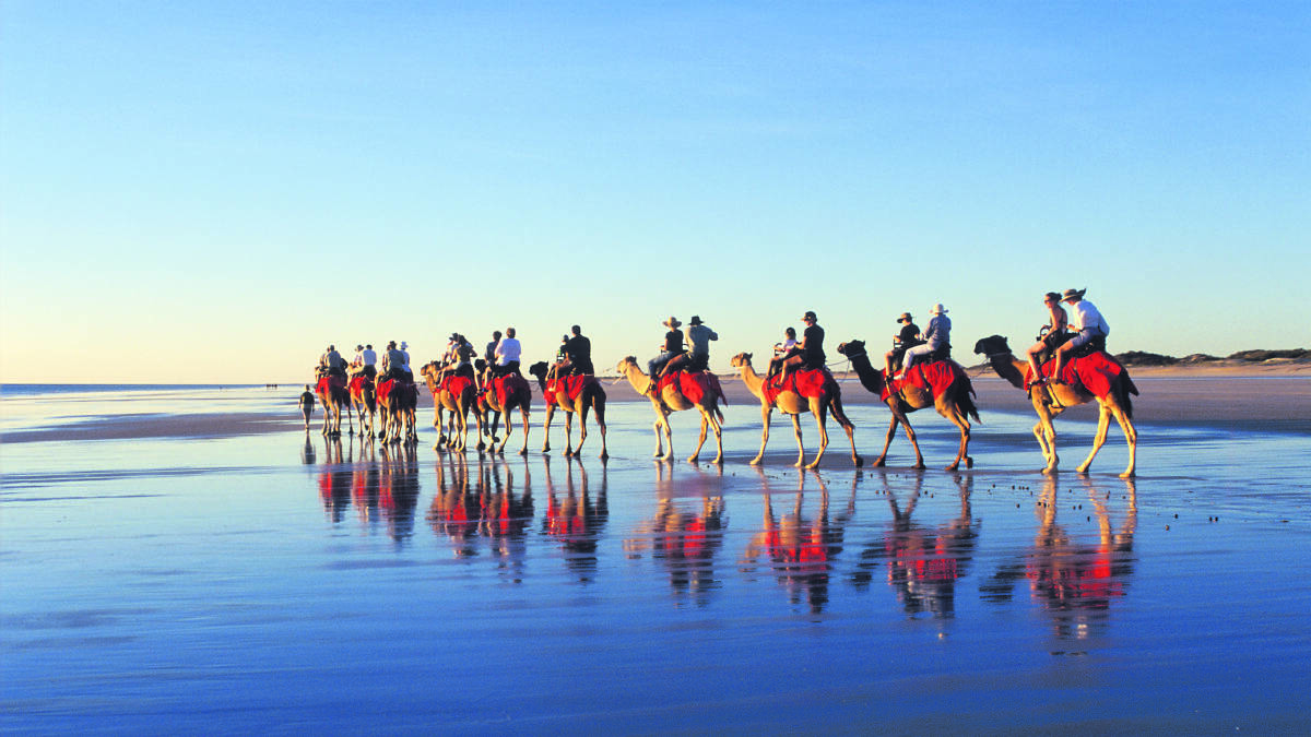 Camel rides along Cable Beach. Picture: Supplied