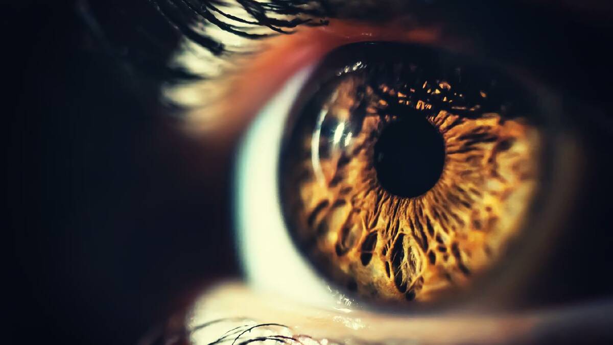 Every iris is different. Photo: Shutterstock
