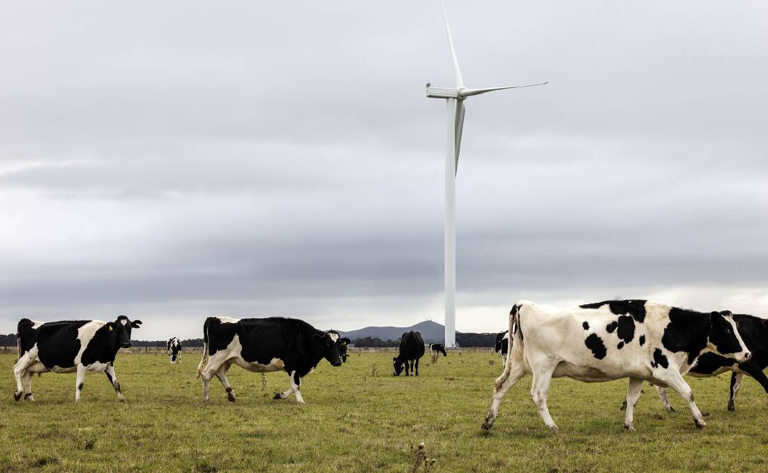Moyne Shire Council opposes more wind farms unless built in preferred locations. Picture: Nicole Cleary
