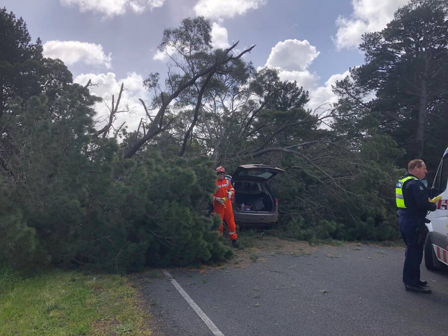 FALLEN PINE: The driver of a vehicle, headed north on the Hamilton-Port Fairy Road, is in hospital after crashing into a fallen pine tree.