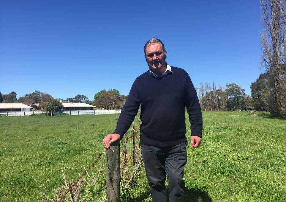 GREEN: Mayor Mick Wolfe alongside a green paddock in Moyne Shire after councillors unanimously rejected drought funding.