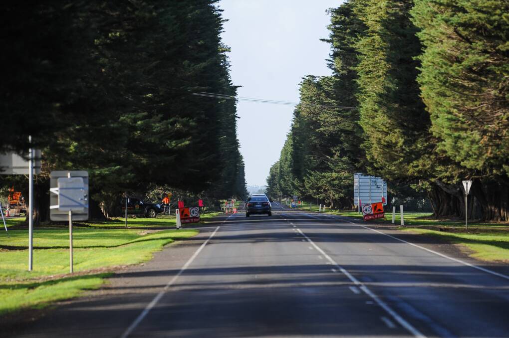 DANGEROUS: Large branches that fell onto the Hamilton Highway at Mortlake's eastern entrance have forced Moyne Shire to remove 15 iconic trees from the Avenue of Honour. 