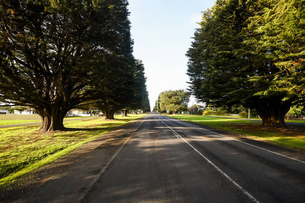 LONG-TERM: The council has worked towards replacing all 191 in the avenue since 2015.
