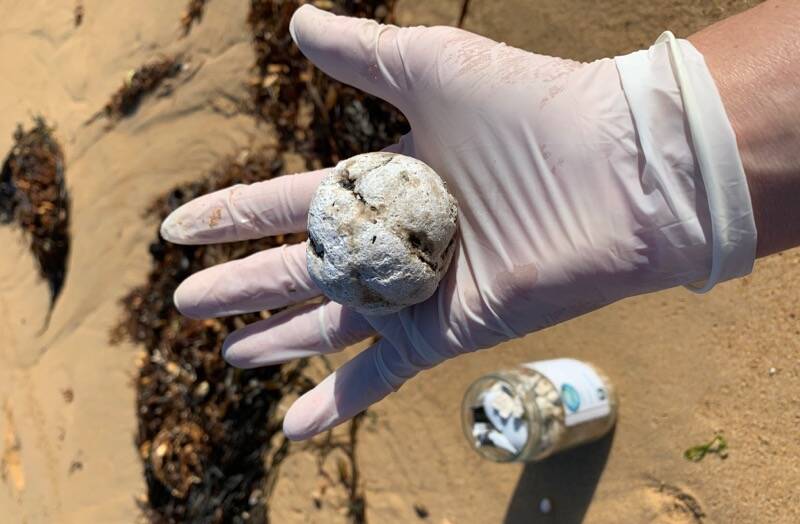 A fat ball cleaned by a volunteer from a Warrnambool beach on Wednesday. 