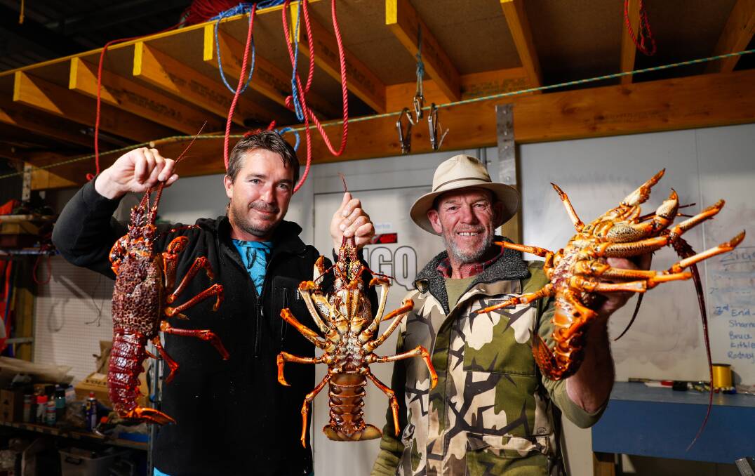 FROM THE BOAT: Simon Nash and Vincent Loving with rock lobsters they are selling directly to the Port Campbell township. Picture: Morgan Hancock