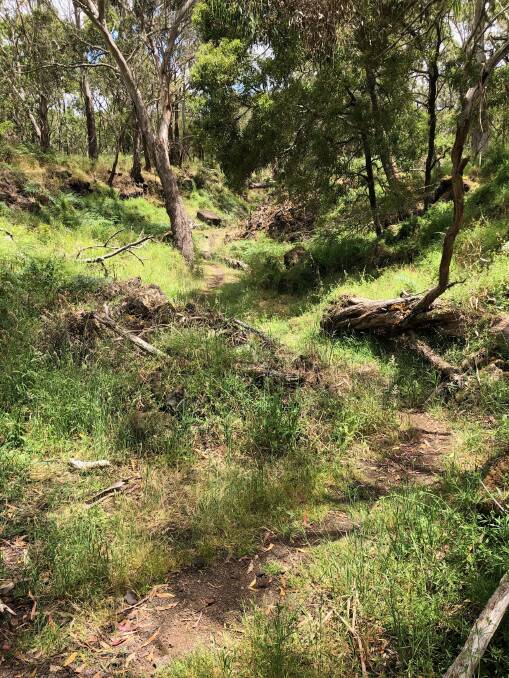 GROWTH: Paths at the National Park in December. Picture: supplied