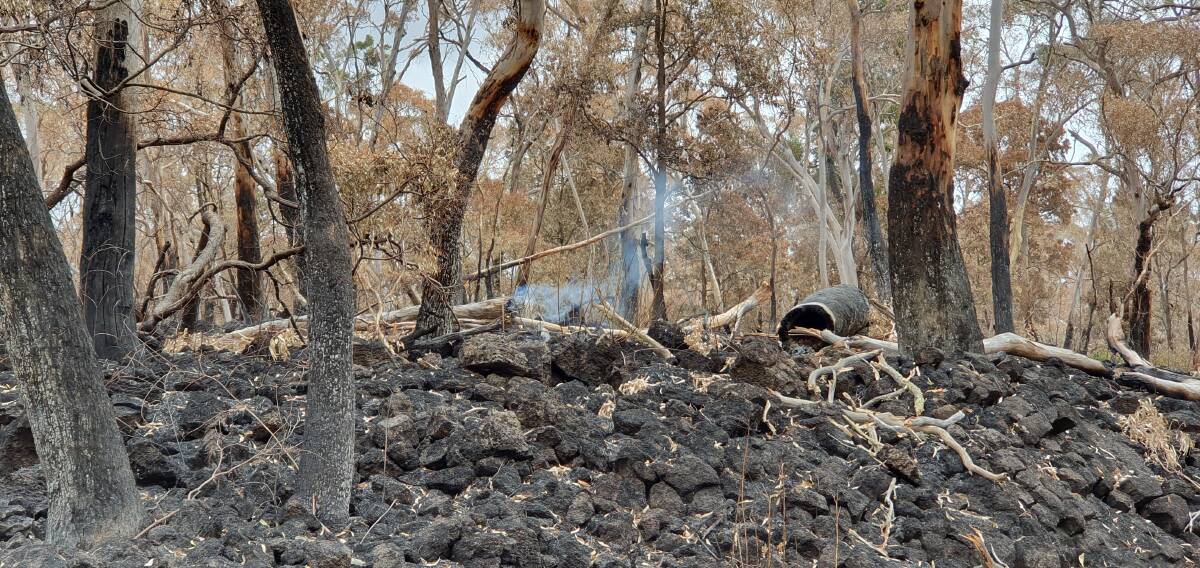 A photo of the burnt landscape where wildlife workers were looking for animals. Picture: Tracey Wilson