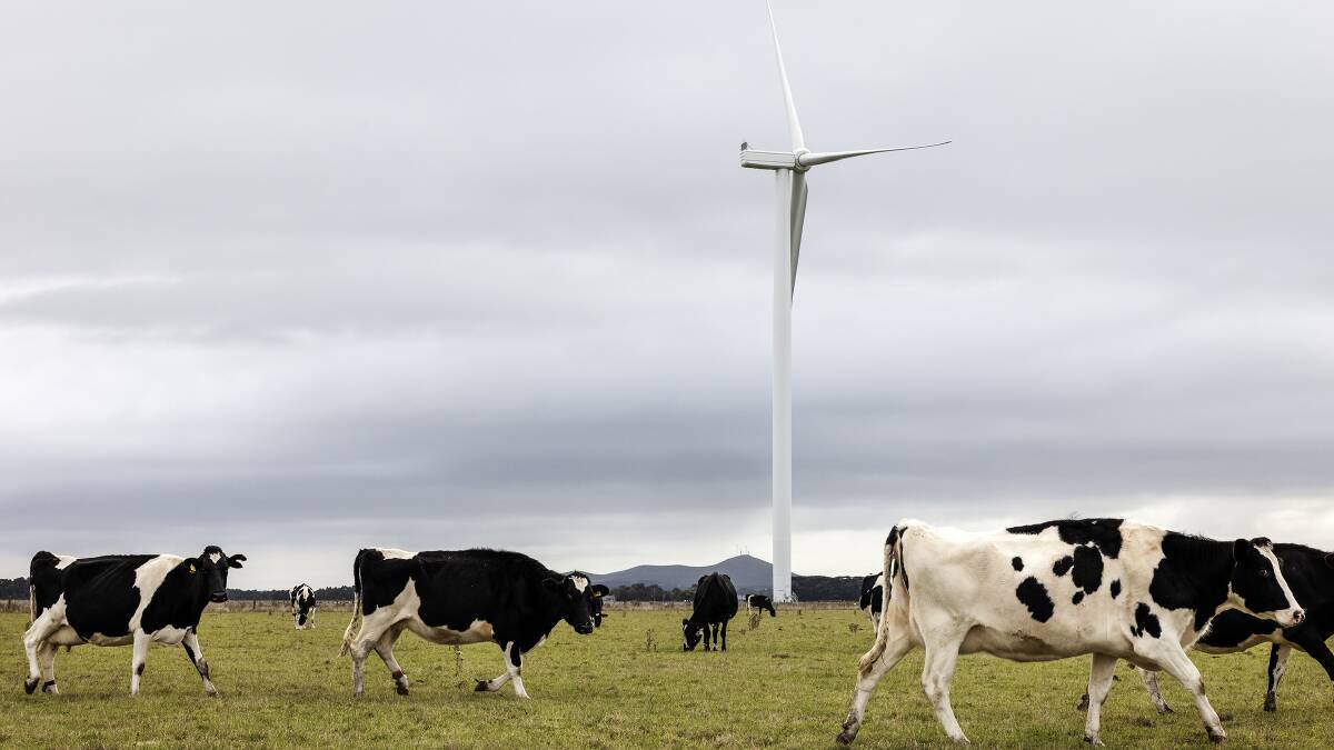 Gridlock on the grid stalls wind projects