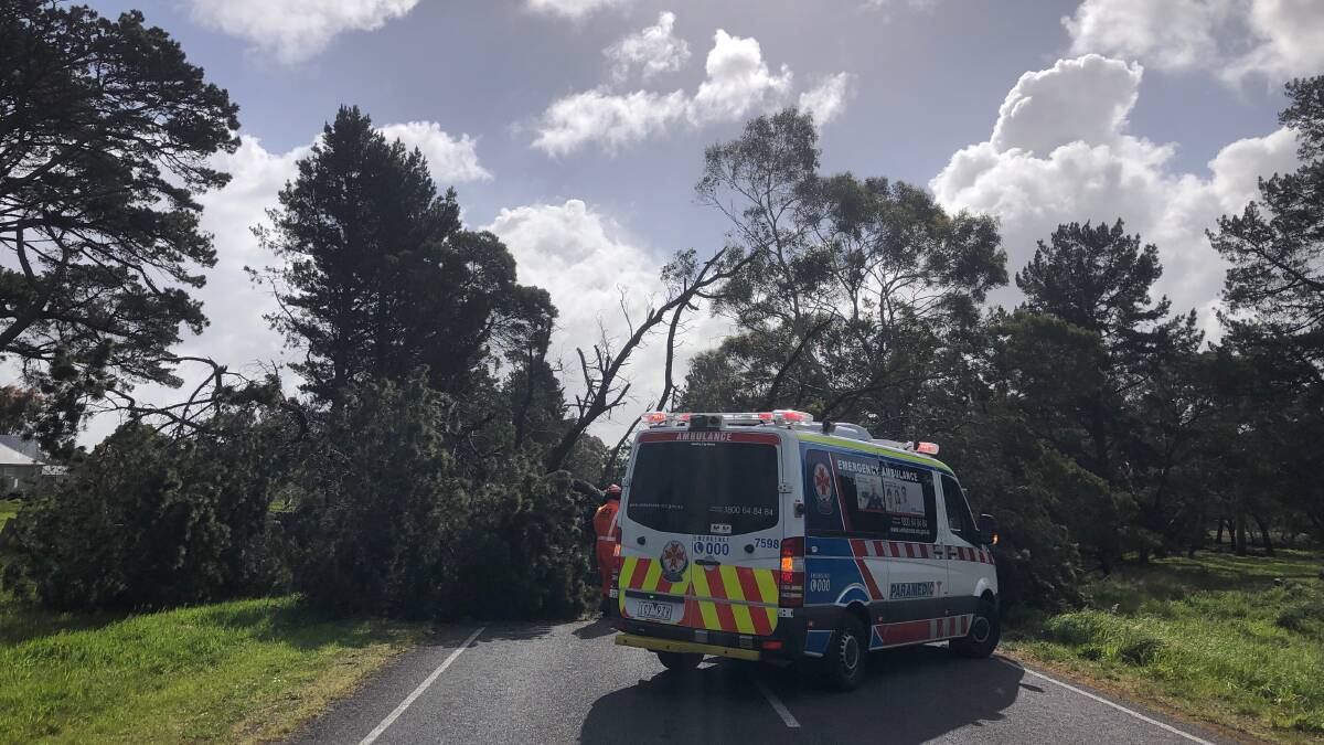 Man hospitalised after crash with fallen tree