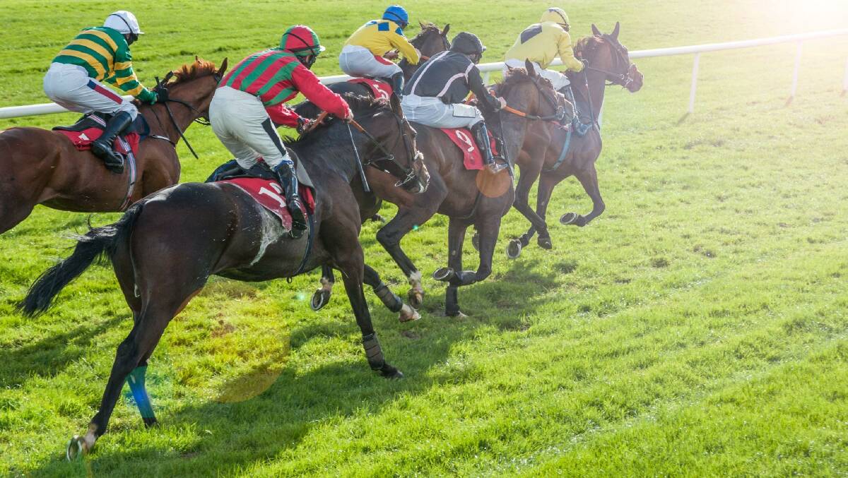 What do horse racing odds mean? A Melbourne Cup guide