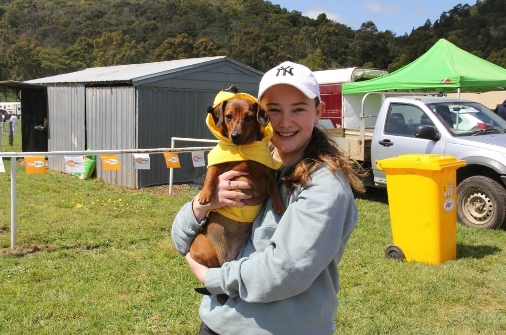 Busy bee: Ellie Rickard of Camperdown with Daisy, who won Best Dressed. Picture: Kyra Gillespie