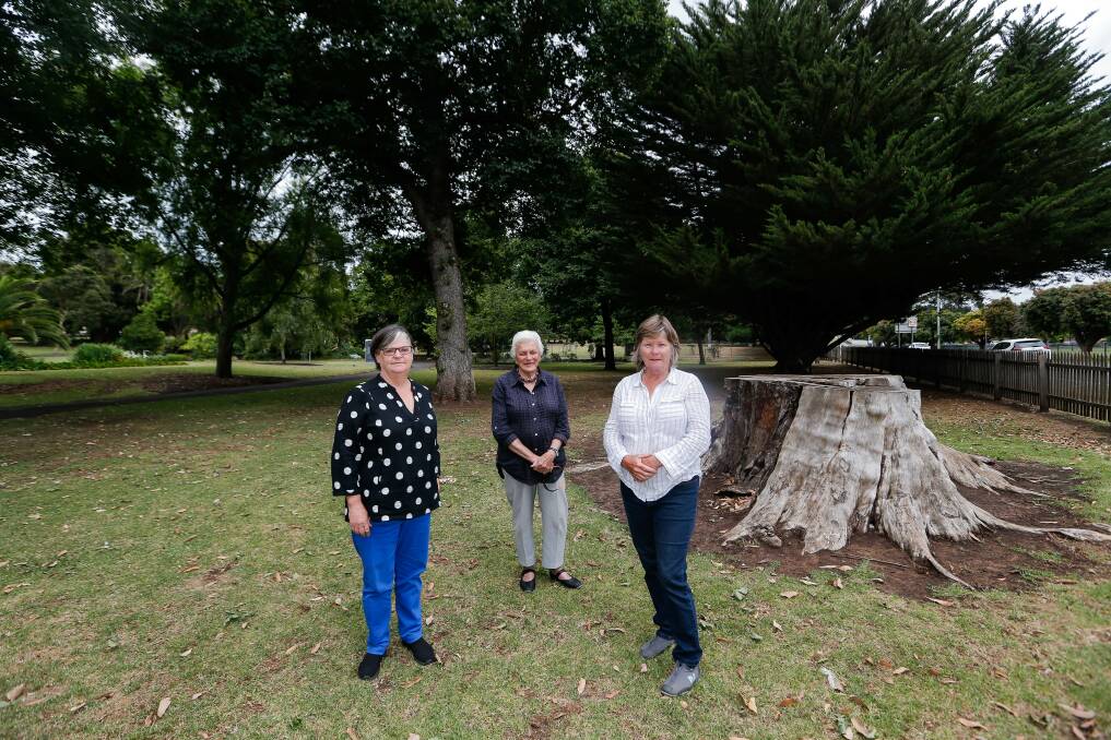 Welcome news: Janet Macdonald, Pat Varley and Mandy King have been pushing for the play space for a long time. Picture: Anthony Brady